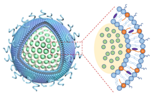 Nanocarrier hollow glass bubble