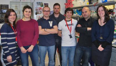 IDIBELL Genes and Cancer Group