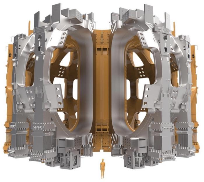 Toroidal field coils and the tokamak vacuum vessel