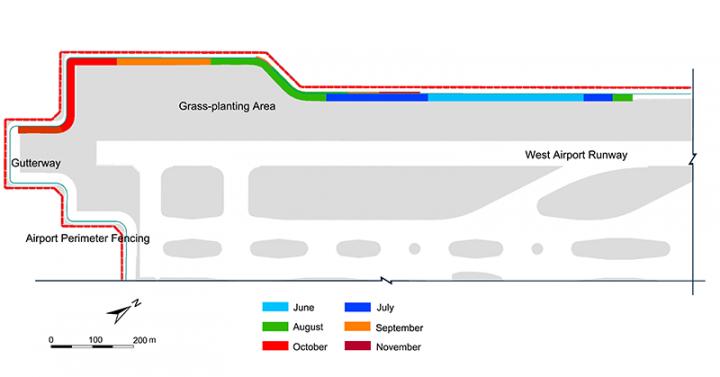 Expansion of Black Wattle