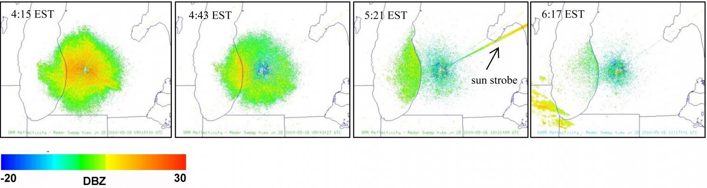 Radar Migration Image