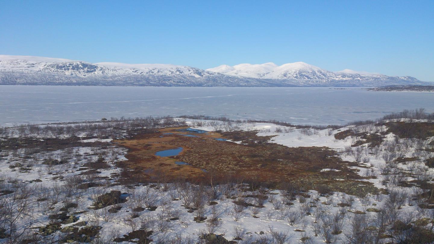 Frozen Lake Torneträsk, Located Next to the Study Site