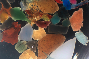 Microplastics