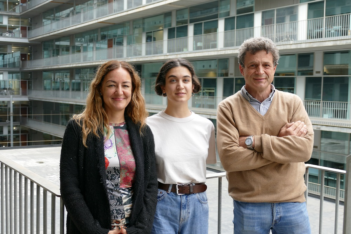 UPF researchers