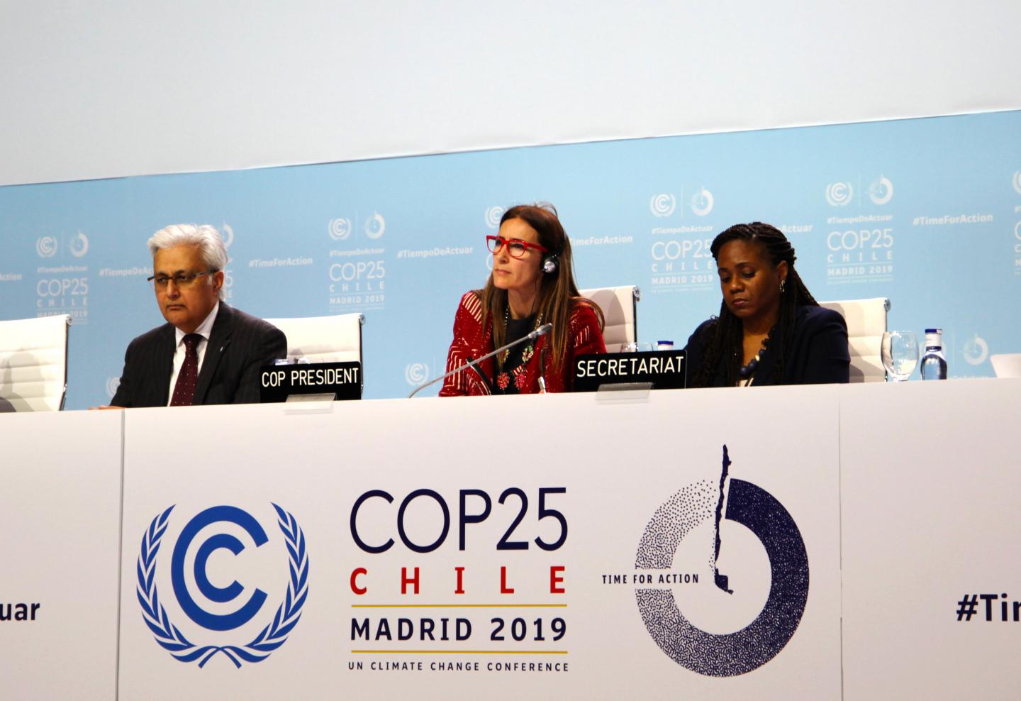 A Plenary at COP25