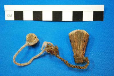 Fragments of Desiccated Archaeological Plant Tissues Attached to Wool and Fiber Strings