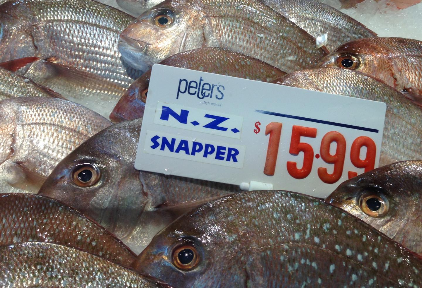 New Zealand Snapper in Fish Market