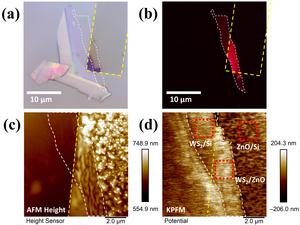 Selective Enriching of Trionic Emission in a WS2-ZnO Hybrid through Type-II Band Alignment