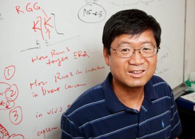 Lin-Feng Chen, University of Illinois at Urbana-Champaign