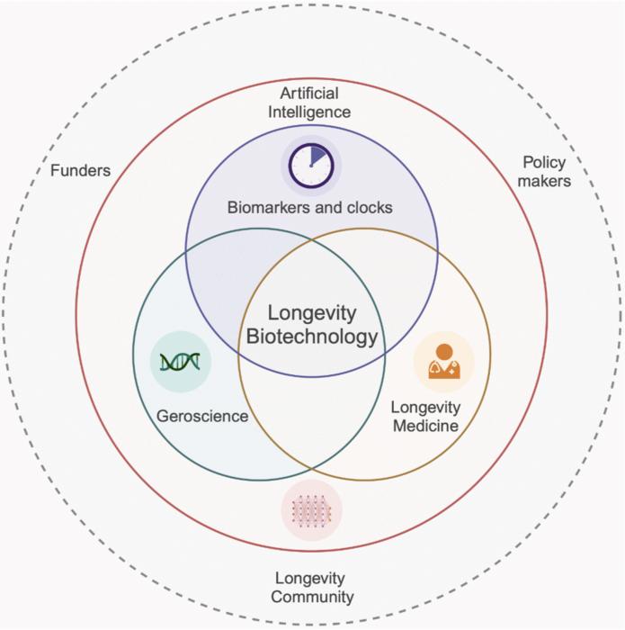 Longevity biotechnology: bridging AI, biomarkers, geroscience and clinical applications for healthy longevity