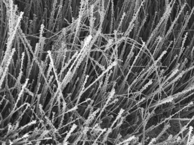 Sol-Flame Decorated Nanowires (2 of 2)