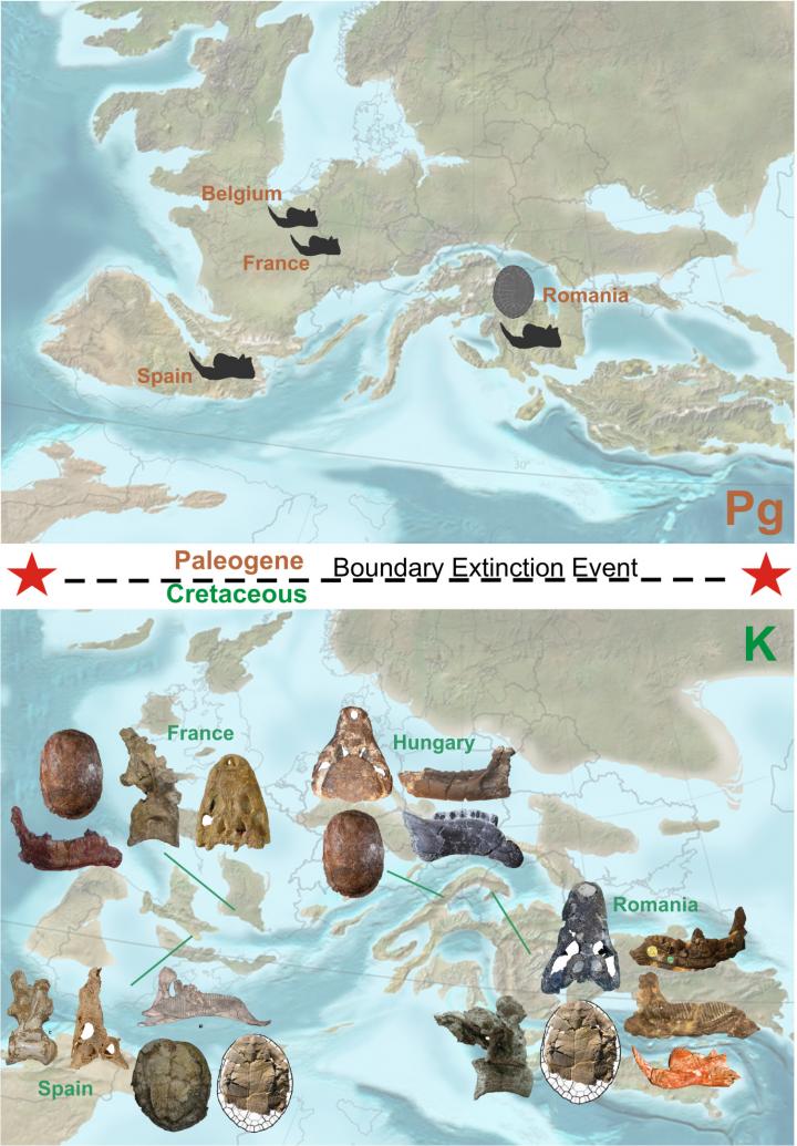 A Visual Representation of the Evolution of the European Continental Ecosystems