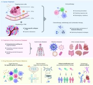 Fig. 2 Clinical applications of single-cell genomics in cancer treatment