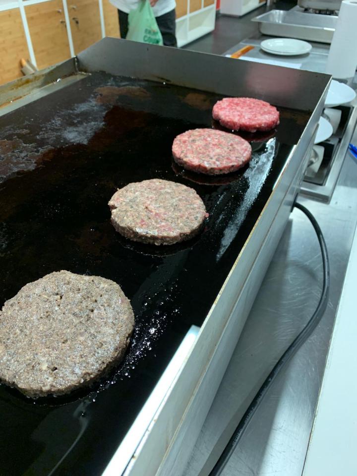 Fly Protein Burgers