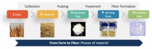 Simplified process steps for converting non-wood feedstocks (such as agricultural waste) to textile fibers, Credit: the authors