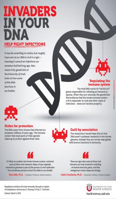 Invaders in Your DNA May Help Prevent Infections