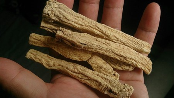 Traditional Chinese medicine, Shengmai Yin, improves outcomes of radiation for patients with nasopharyngeal cancer