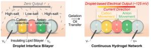 Droplet Battery diagram