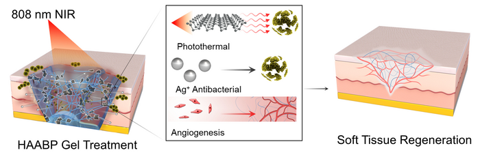 Black phosphorus-enhanced antibacterial injectable hydrogel
