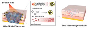 Black phosphorus-enhanced antibacterial injectable hydrogel