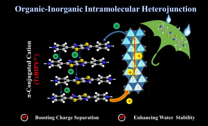 Conjugated diamine cation based halide perovskitoid enables robust stability and high photodetector performance