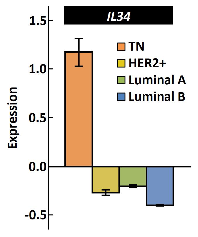 IL-34 Expression in Breast Cancer