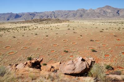 Fairy Circles (1 of 2)