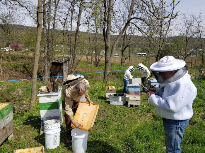 beekeepers at work