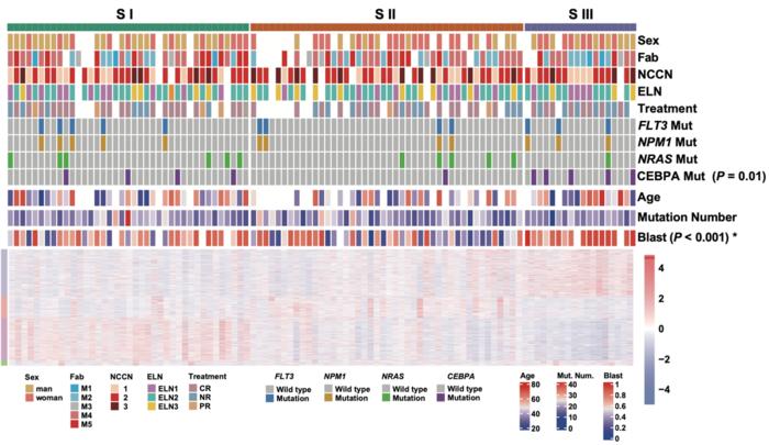 Integrative proteogenomic and pharmacological landscape of acute myeloid leukaemia