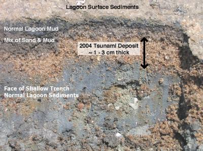 Lagoon Surface Sediments