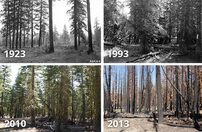 Fire exclusion over time