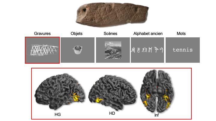 Les neurosciences percent le secret des premières gravures abstraites