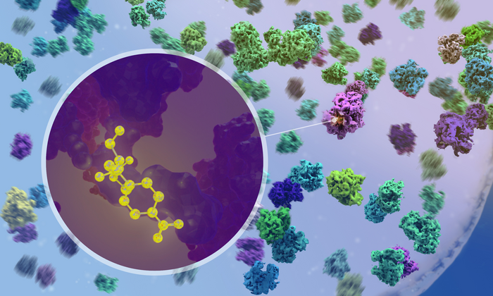 Visualising ribosomes in Mycoplasma