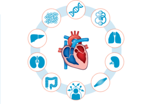 Collaborative Research Center heart failure