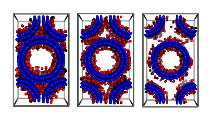 Snapshots of CO2 Adsorption in Double-Walled Carbon Nanotube Arrays