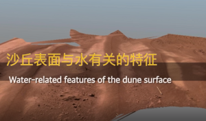 Water-related features of the dune surface