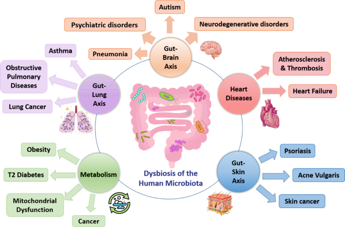 The human microbial dysbiosis in human diseases.