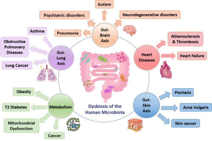 Gut Microbiota and Microbial Metabolism in Early Risk of