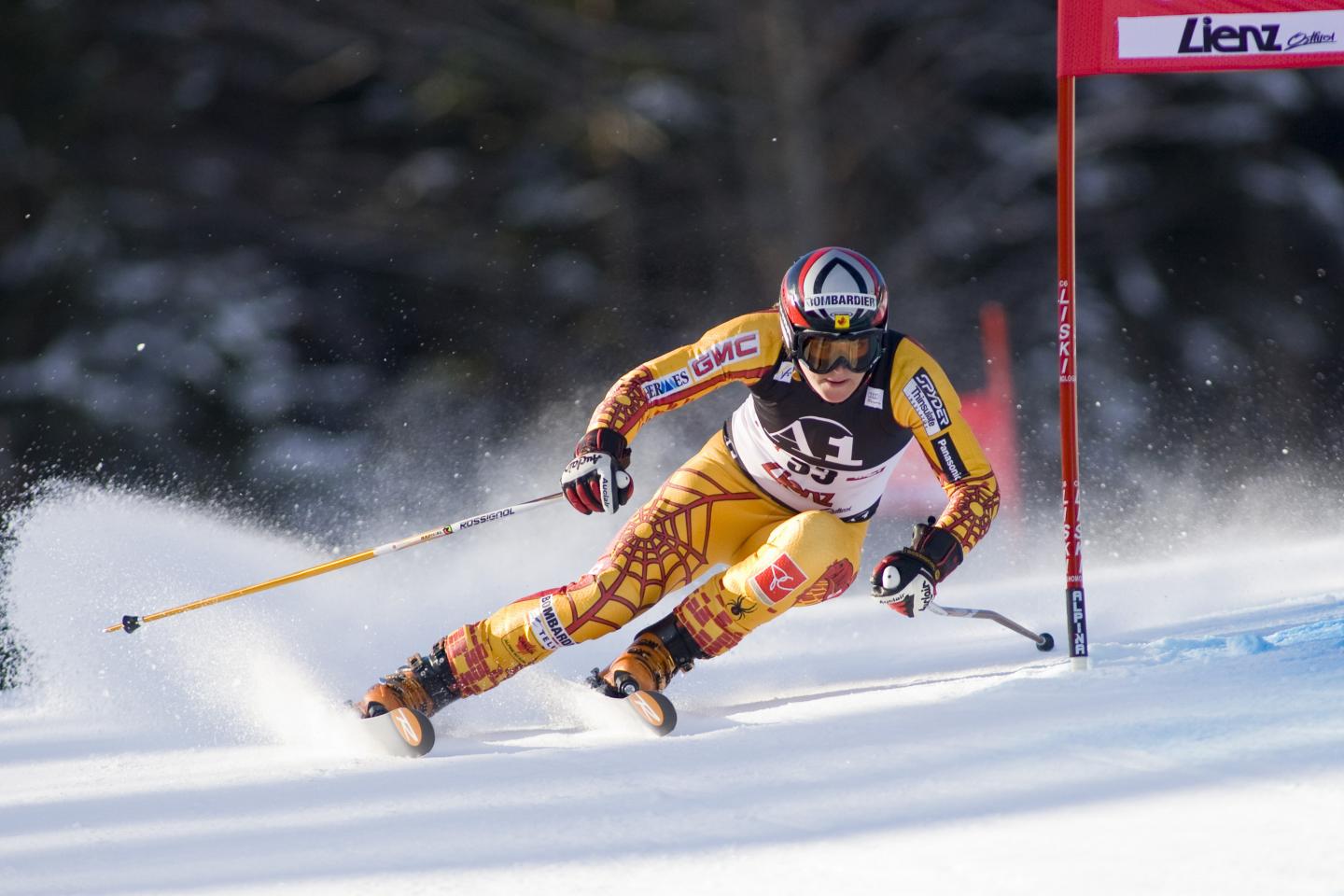 Computational Modeling Reveals Anatomical Distribution of Drag on Downhill Skiers (1 of 2)