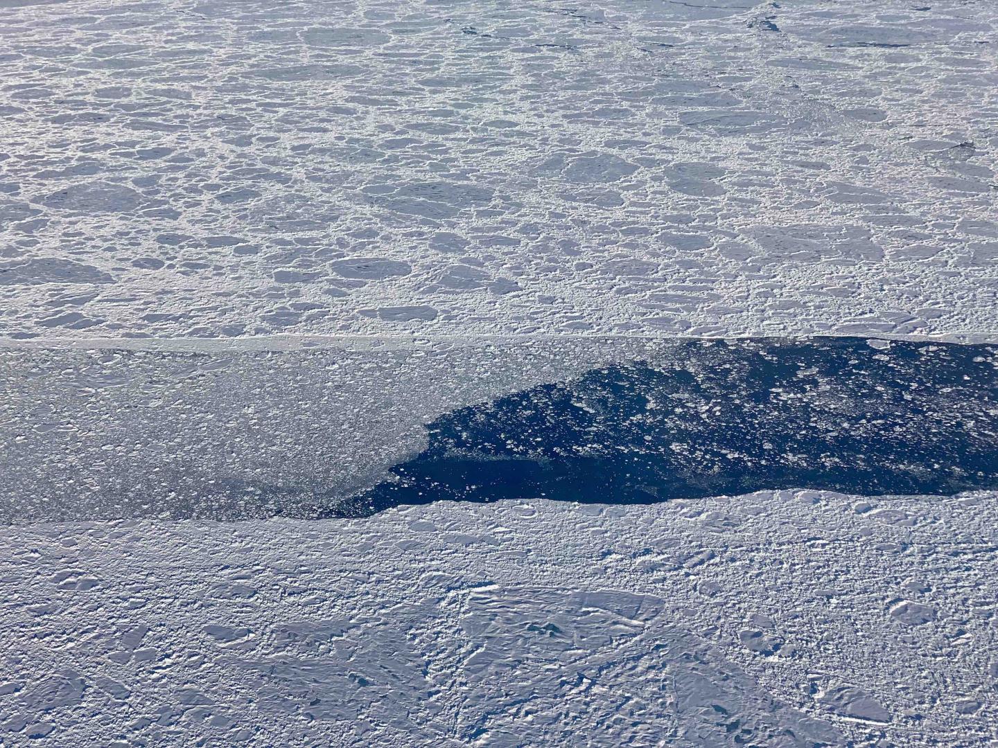 2019 Arctic Sea Ice Minimum Tied for Second Lowest On Record