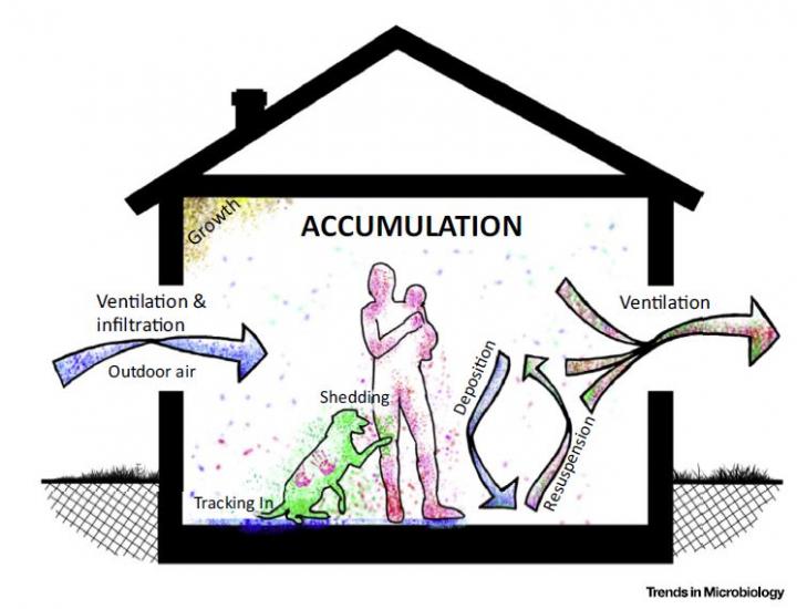 Sources of Indoor Microbial Communities