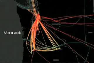 2010 International Science and Engineering Visualization Challenge Interviews