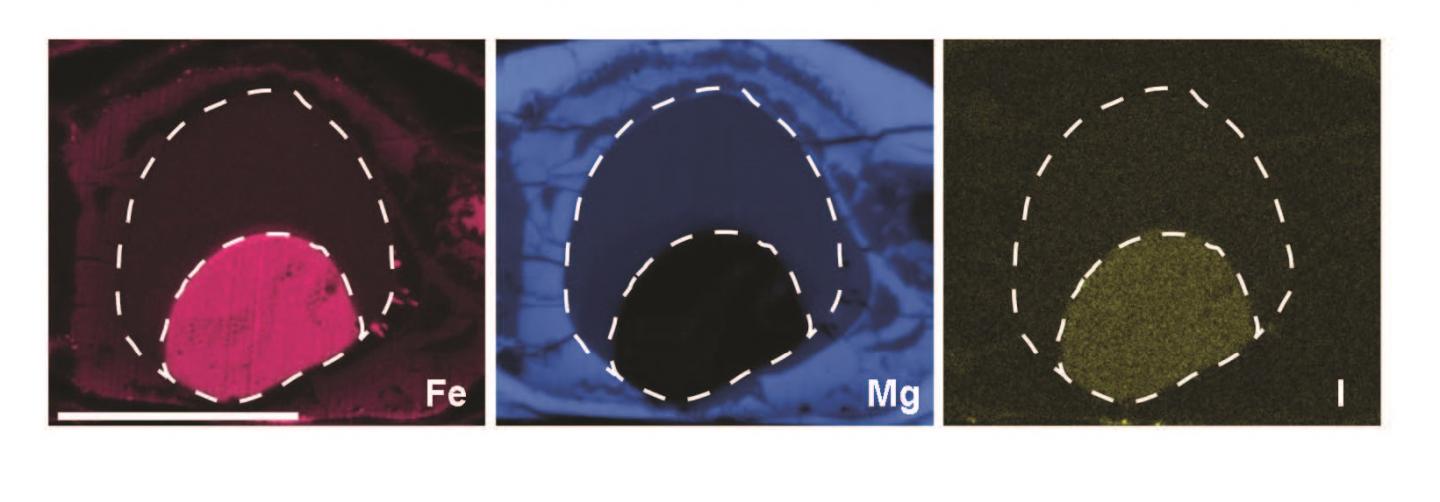 Lab Mimicry of Mantle-Core Separation