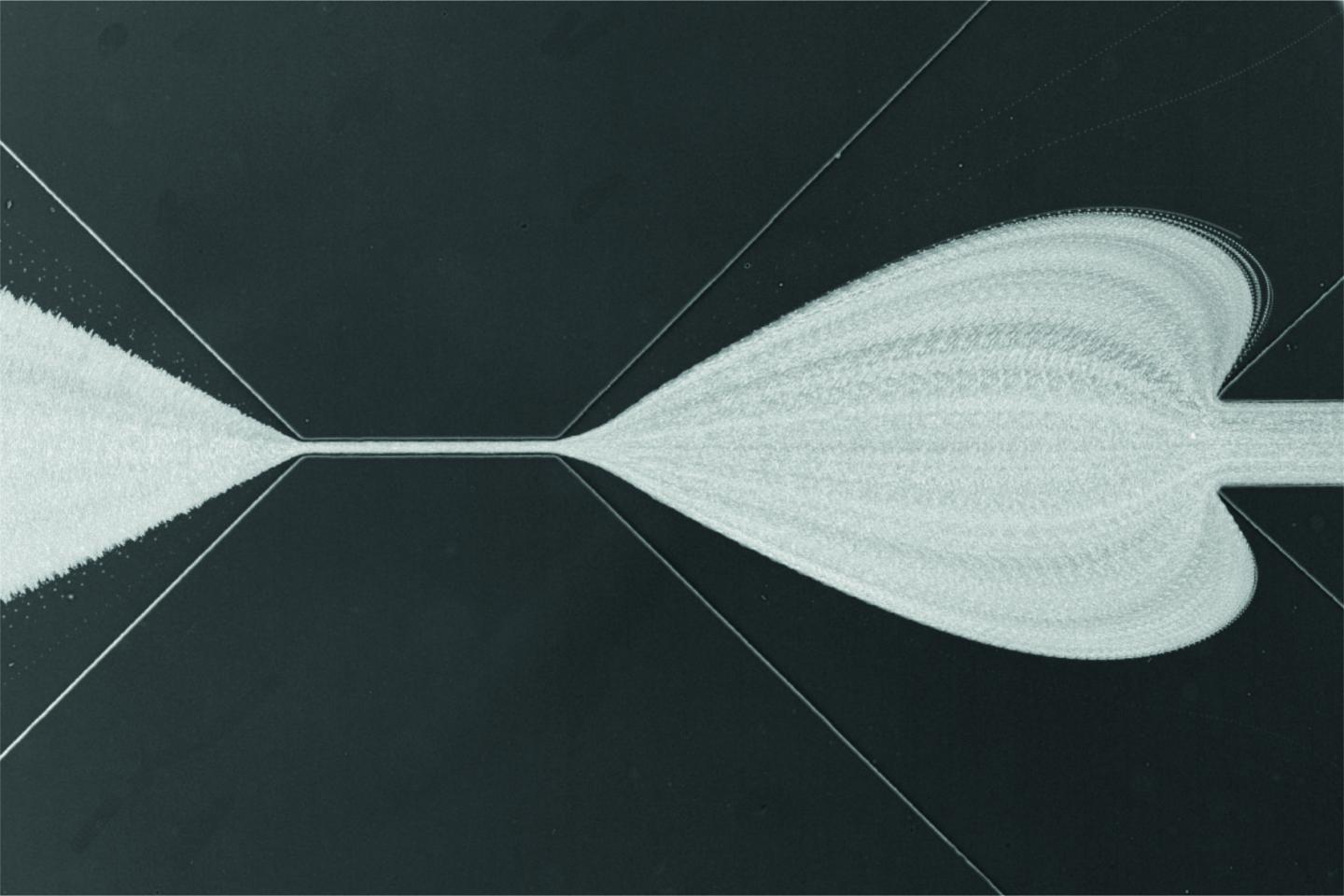 Real-Time Deformability Cytometry (1 of 2)