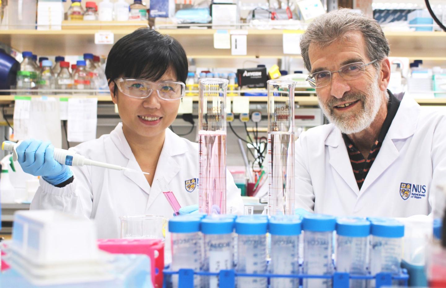 Professor Daniel Tenen and Dr Liu Bee Hui