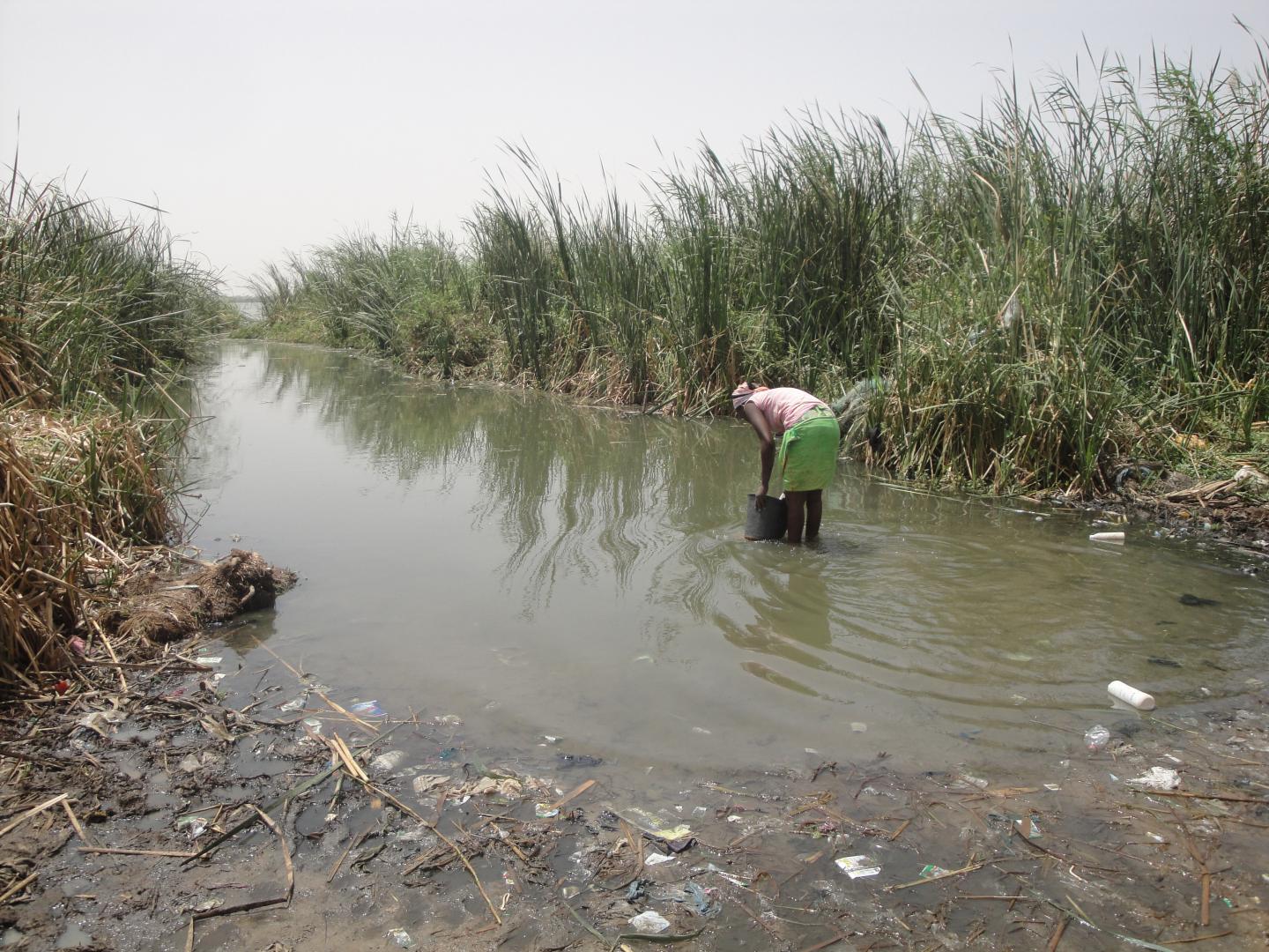A Typical Village Water-Access Site on the Senegal River