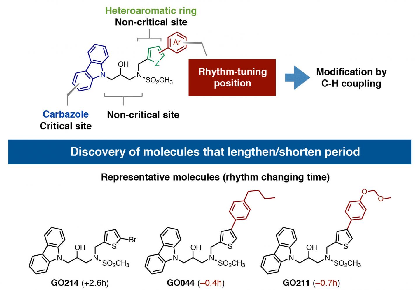 Critical Sites on KL001 Derivatives