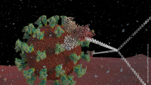 Digital reconstruction of SARS-CoV-2 virus in the lung environment