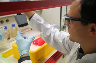 Dr Nicola Wilck at the Lab Bench