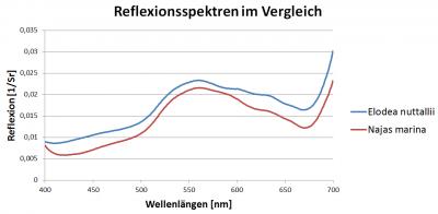 Reflectance of 2 Water Plants